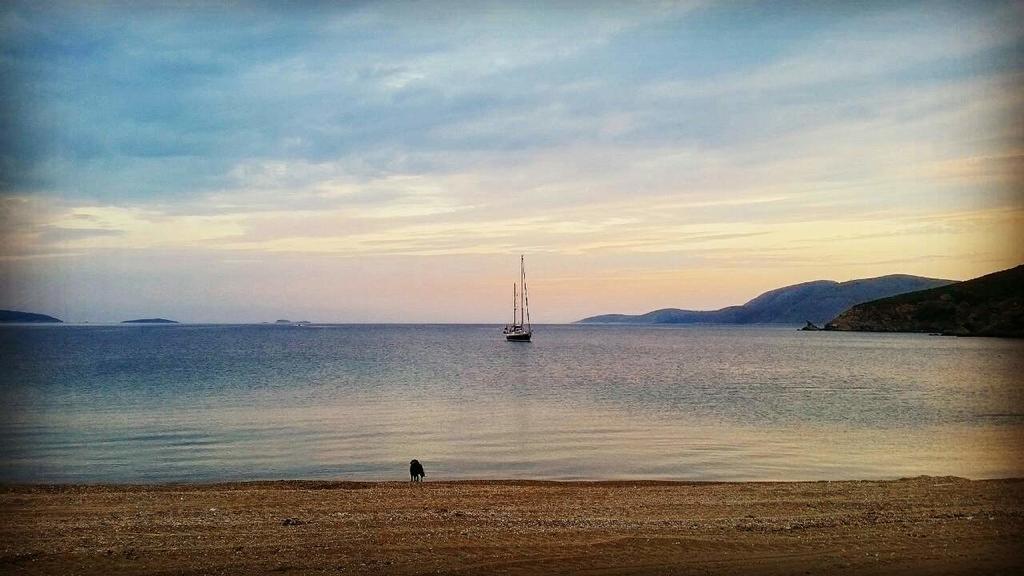 Theo'S Vacation Home Skyros Esterno foto