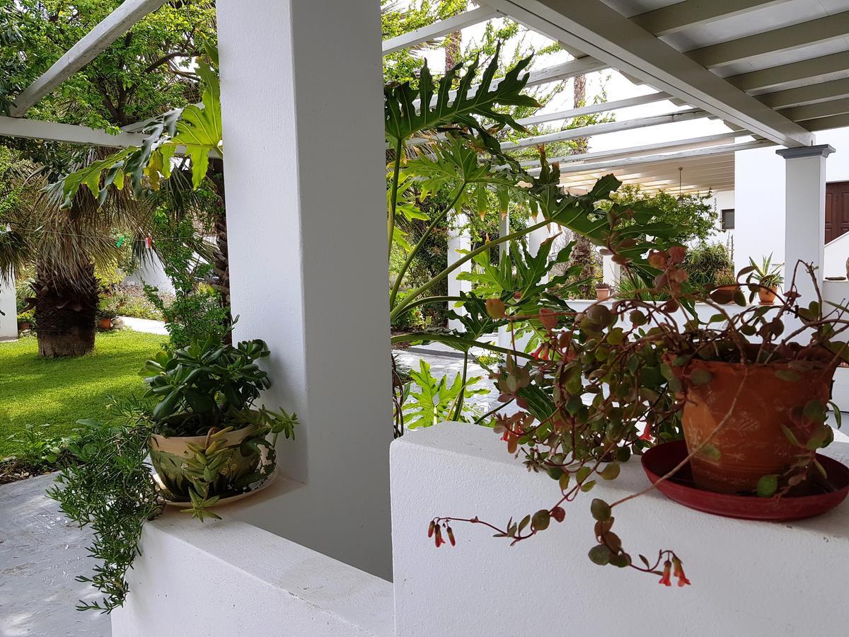 Theo'S Vacation Home Skyros Esterno foto